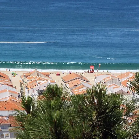 Ricardo Holidays At * Nazaré
